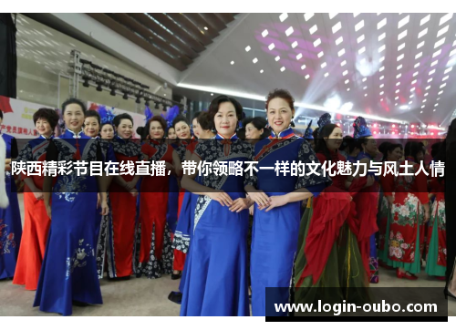 陕西精彩节目在线直播，带你领略不一样的文化魅力与风土人情