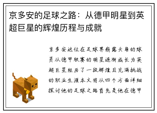 京多安的足球之路：从德甲明星到英超巨星的辉煌历程与成就